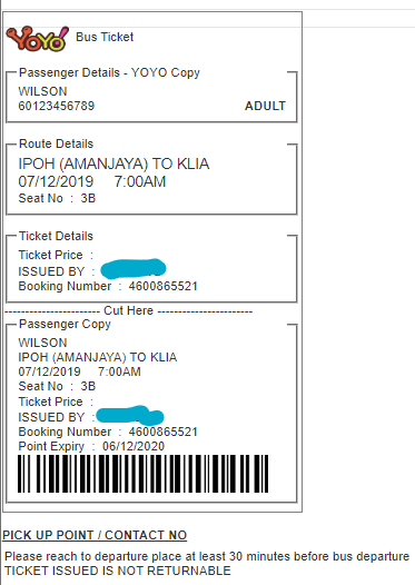 Yoyo Bus Ticket Receipt